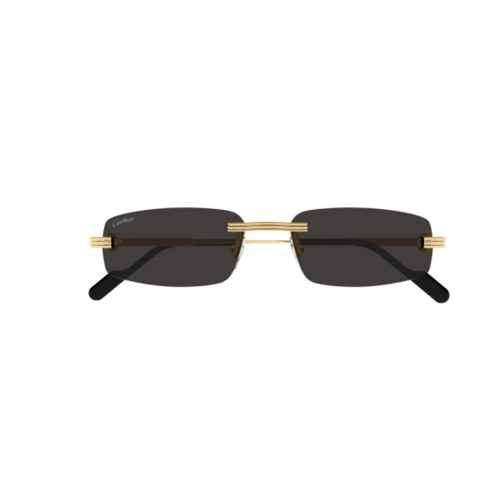 Cartier CT0535S-001 Gold Grey Occhiali Da Sole – Ottica Renna