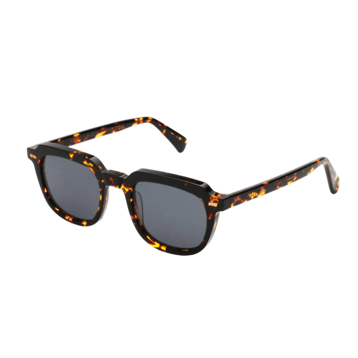 Gast Dail DA03 havana flame Occhiali Da Sole – Gast – 8052015731655