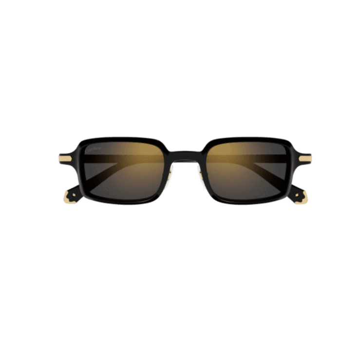 Cartier CT0539S-001 nero Occhiali Da Sole – Cartier – 843023181000