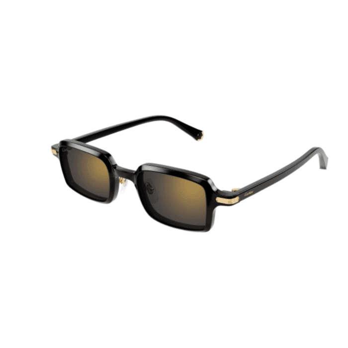 Cartier CT0539S-001 nero Occhiali Da Sole – Cartier – 843023181000