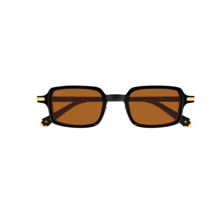 Cartier CT0539S-003 nero Occhiali Da Sole – Cartier – 843023181024
