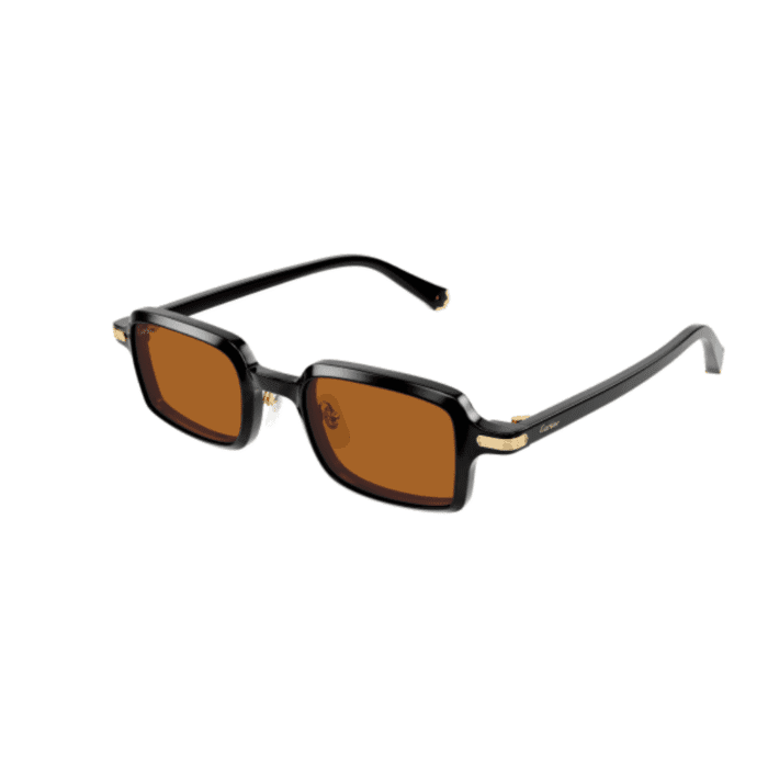 Cartier CT0539S-003 nero Occhiali Da Sole – Cartier – 843023181024