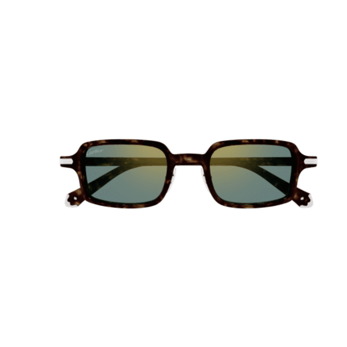 Cartier CT0539S-002 havana Occhiali Da Sole – Cartier – 843023181017