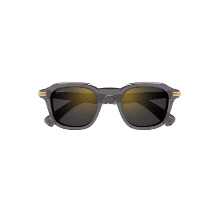 Cartier CT0536S-003 grey Occhiali Da Sole – Cartier – 843023180836