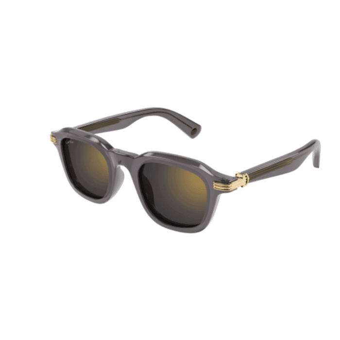 Cartier CT0536S-003 grey Occhiali Da Sole – Cartier – 843023180836