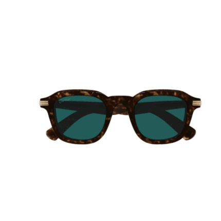 Ottica Renna –