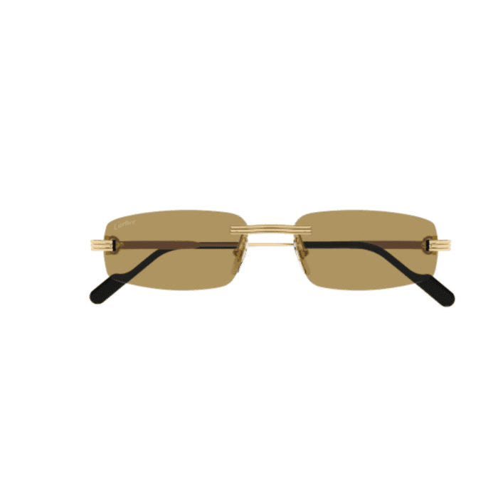 Cartier CT0535S-003 gold brown Occhiali Da Sole – Cartier – 843023180782