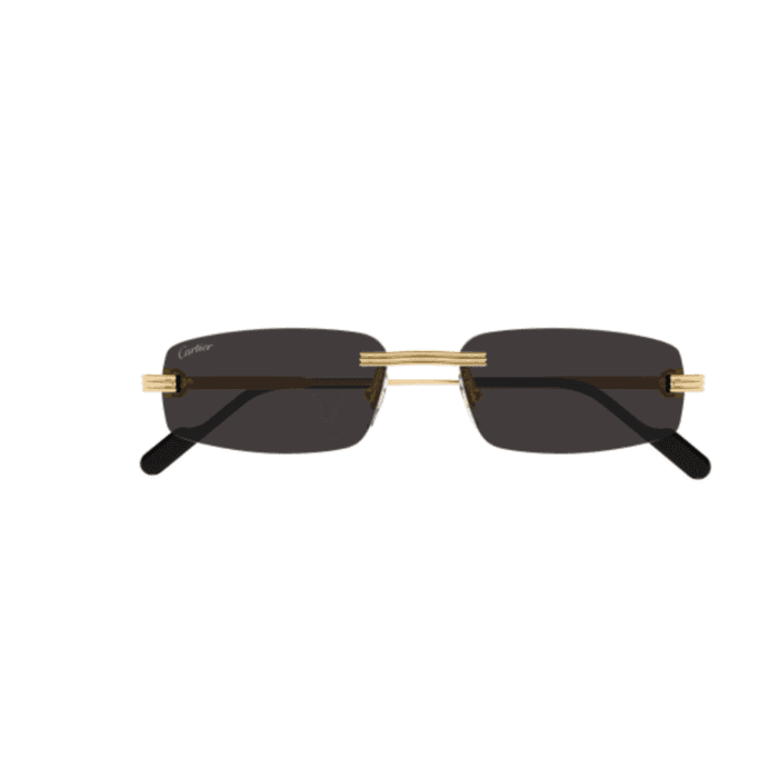 Cartier CT0535S-001 gold grey Occhiali Da Sole – Cartier – 843023180768