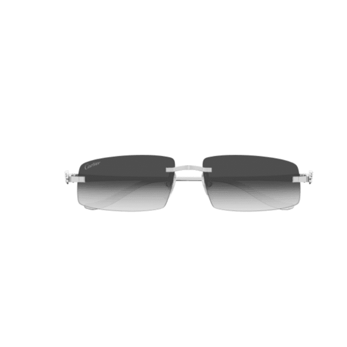 Cartier CT0505S-002 silver grey Occhiali Da Sole – Cartier – 843023178857