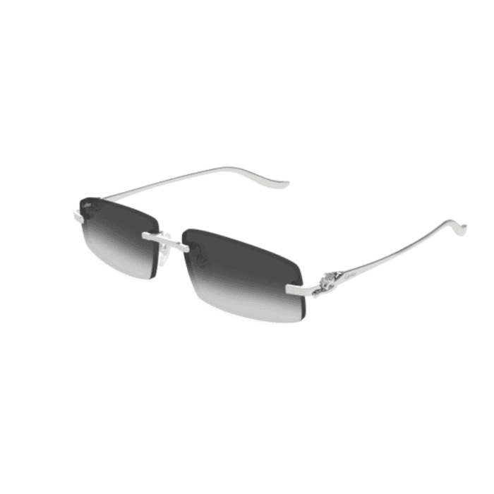 Cartier CT0505S-002 silver grey Occhiali Da Sole – Cartier – 843023178857