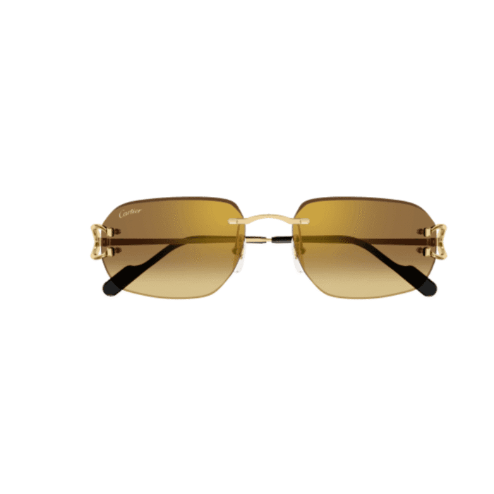 Cartier CT0468S-004 gold brown Occhiali Da Sole – Cartier – 843023175856
