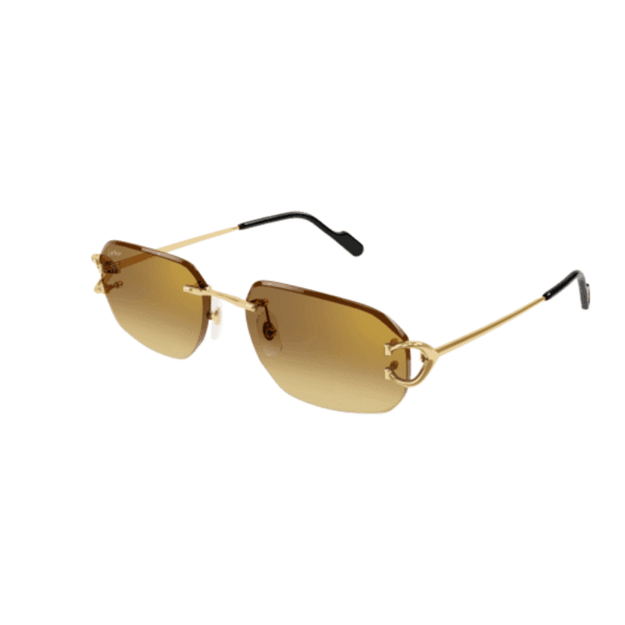 Cartier CT0468S-004 gold brown Occhiali Da Sole – Cartier – 843023175856